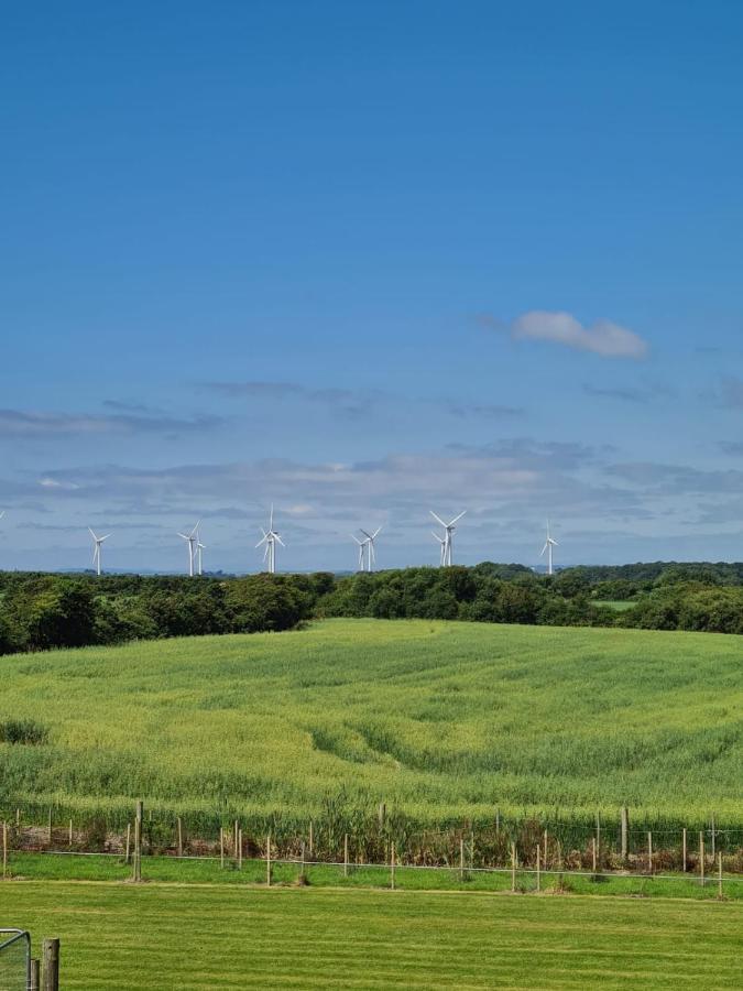 Oak Tree Lane Country * Bridgetown (Wexford)
